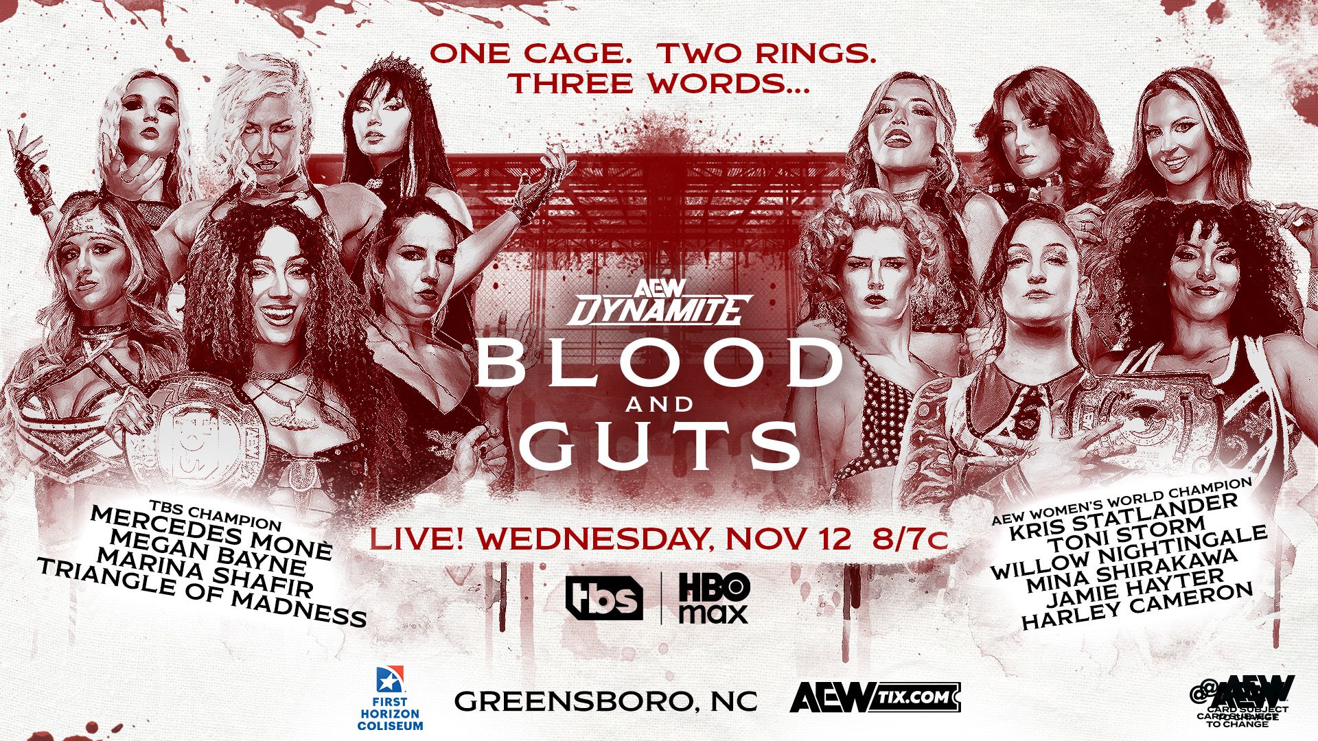 AEW Dynamite Womens Blood and Guts Match