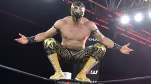 Mascara Dorada