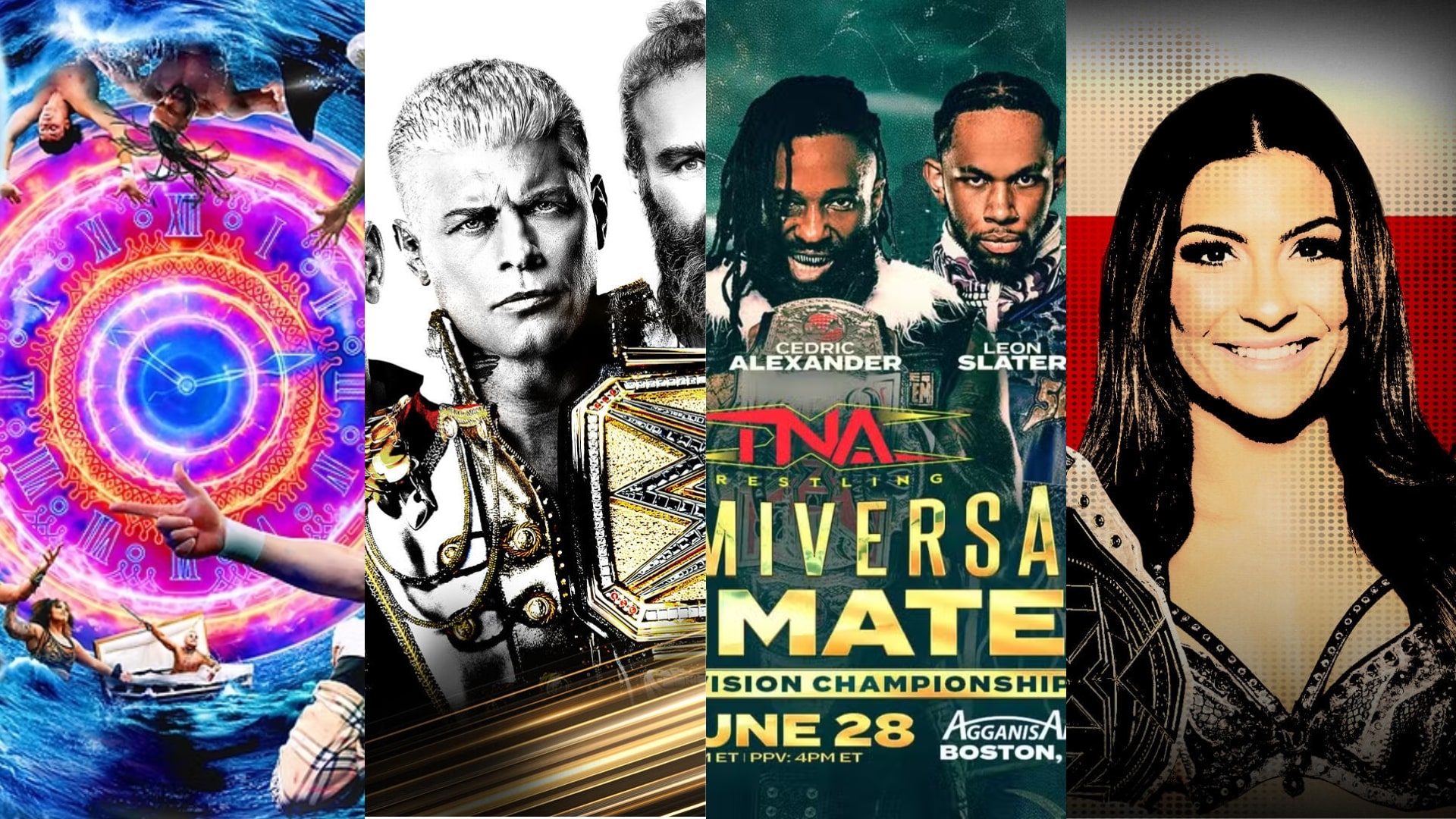 AEW WWE TNA NXT PLEs