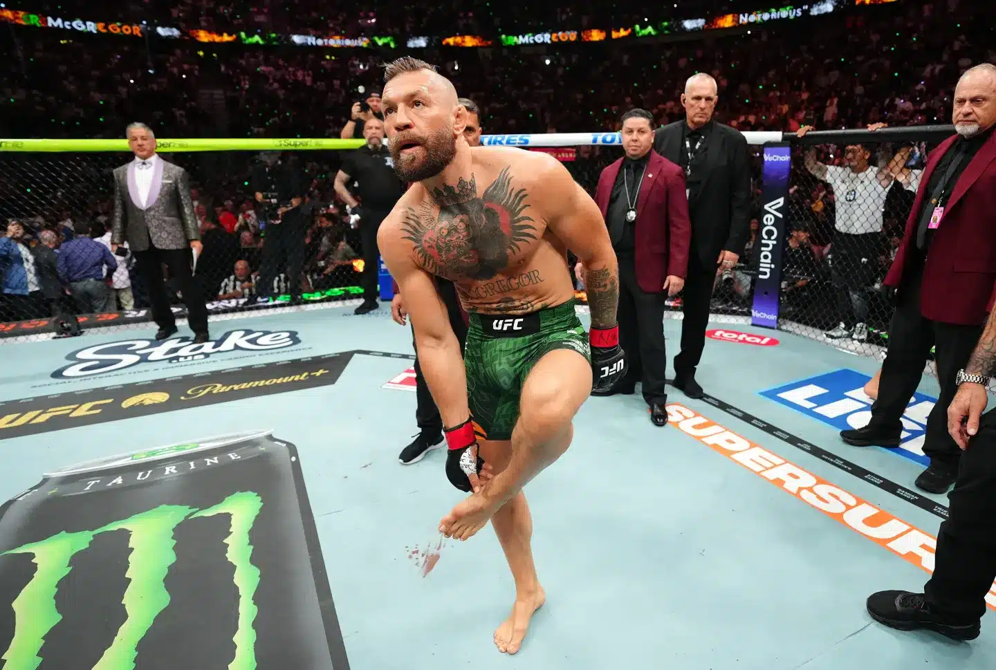 Conor McGregor | UFC 329
